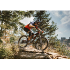 Tomáš Žoržo Eibl