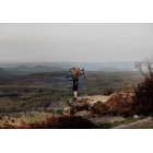 Tomáš Žoržo Eibl